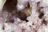 Sparkly, Lavender Amethyst Geode Half - Argentina #180817-1